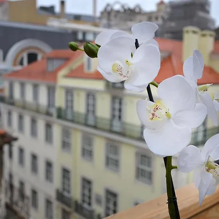 Hotel Browns Downtown